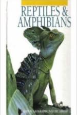 Watch Reptiles and Amphibians Sockshare