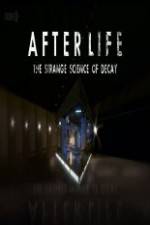 Watch After Life: The strange Science Of Decay Sockshare