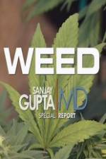 Watch CNN Weed Sanjay Gupta Report Sockshare
