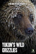Watch Yukon\'s Wild Grizzlies Sockshare