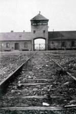 Watch AUSCHWITZ: FRENZIED KILLING Sockshare