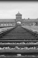 Watch AUSCHWITZ: ORDERS AND INITIATIVES Sockshare