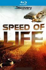 Watch Speed of Life Sockshare