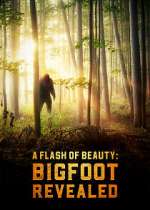 Watch A Flash of Beauty: Bigfoot Revealed Sockshare