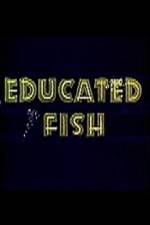 Watch Educated Fish Sockshare