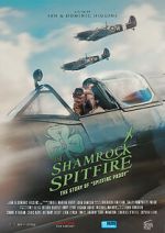 Watch The Shamrock Spitfire Sockshare