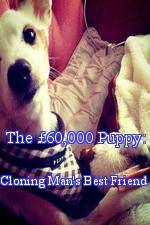 Watch The 60,000 Puppy: Cloning Man's Best Friend Sockshare