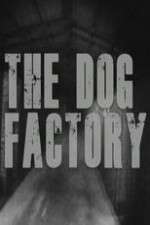 Watch The Dog Factory Sockshare