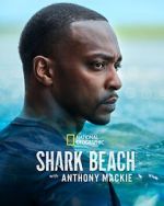 Watch Shark Beach with Anthony Mackie Sockshare