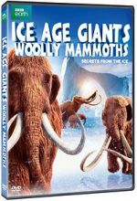 Watch Woolly Mammoth: Secrets from the Ice Sockshare