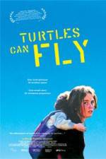 Watch Turtles Can Fly Sockshare