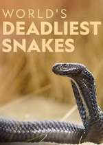 Watch World's Deadliest Snakes Sockshare