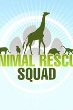 Watch Animal Rescue Squad Sockshare