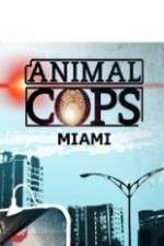 Watch Animal Cops Miami Sockshare