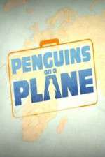 Watch Penguins on a Plane Sockshare