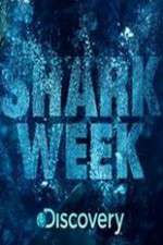 Watch Shark Week Sockshare