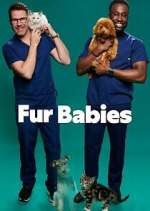 Watch Fur Babies Sockshare