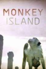 Watch Monkey Island Sockshare