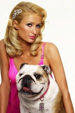 Watch Paris Hilton's British Best Friend Sockshare