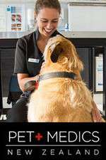 Watch Pet Medics Sockshare