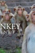 Watch Monkey Planet Sockshare