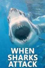 Watch When Sharks Attack Sockshare