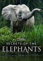 Watch Secrets of the Elephants Sockshare