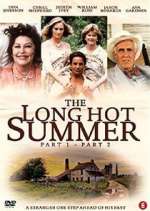 Watch The Long Hot Summer Sockshare