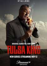 Watch Tulsa King Sockshare