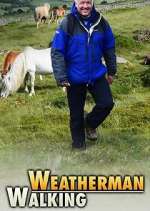 Watch Weatherman Walking Sockshare