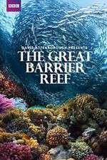 Watch Great Barrier Reef with David Attenborough Sockshare