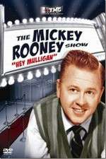 Watch The Mickey Rooney Show Sockshare