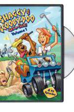 Watch Shaggy & Scooby-Doo Get a Clue Sockshare