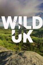 Watch Wild UK Sockshare