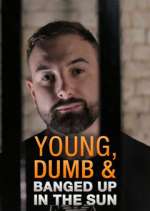 Watch Young Dumb & Banged Up in the Sun Sockshare