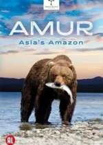 Watch Amur Asia's Amazon Sockshare