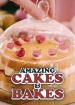 Watch Amazing Cakes & Bakes Sockshare