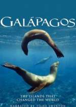 Watch Galapagos Sockshare