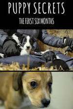 Watch Puppy Secrets: The First Six Months Sockshare