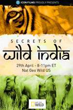 Watch Secrets of Wild India Sockshare