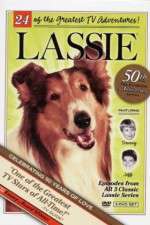 Watch Lassie Sockshare
