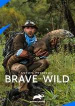 Watch Coyote Peterson: Brave the Wild Sockshare
