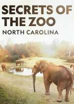 Watch Secrets of the Zoo: North Carolina Sockshare