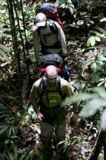 Watch Walking The Amazon Sockshare