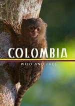 Watch Colombia: Wild and Free Sockshare