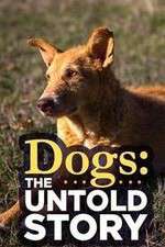 Watch Dogs: The Untold Story Sockshare