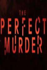 Watch The Perfect Murder Sockshare