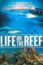 Watch Life on the Reef Sockshare