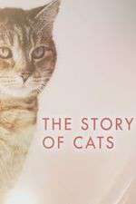 Watch The Story of Cats Sockshare