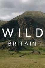 Watch Wild Britain Sockshare